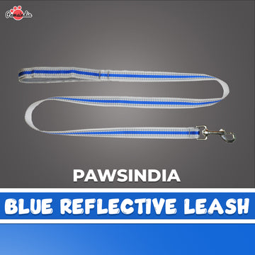 Pawsindia Reflective Nylon Leash for Dogs with a Padded Handle - Blue